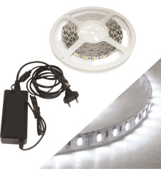 Ταινία LED Τροφοδοσίας 12V με Ψυχρό Λευκό Φως Μήκους 5m & 60 LED ανά Μέτρο με Τροφοδοτικό 24-00503