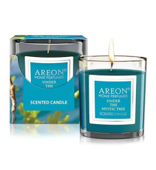 Αρωματικό Κερί Areon σε Βάζο Perfume Under the Mystic Tree 120gr